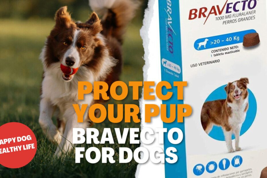 Bravecto For Dogs | What Is Bravecto For Dogs | Bravecto For Dogs Without Vet Prescription | Bravecto For Dogs Side Effects