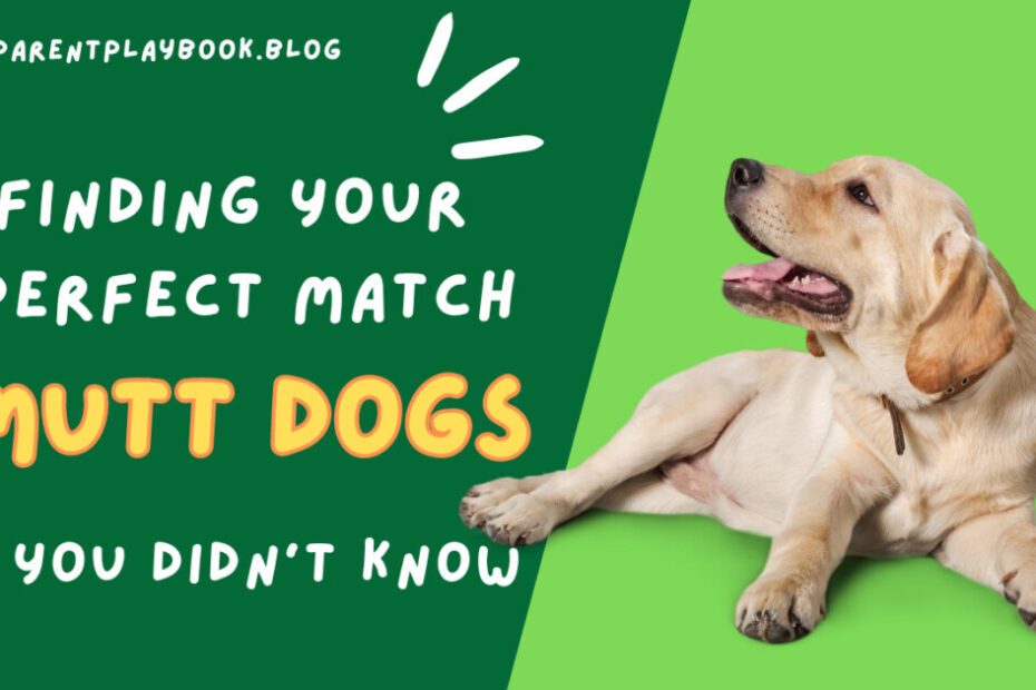 Finding Your Perfect Match Where to Adopt a Mutt Dog