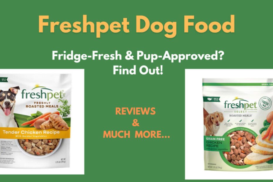 Fresh Pet Dog Food