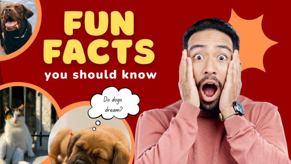 Did You Know? Fascinating Facts About Your Favorite Pets! | Fun Pet ...