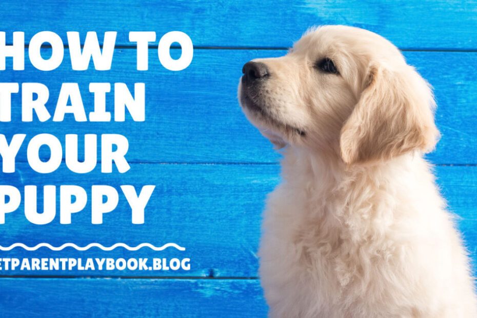 How to Train Your Puppy