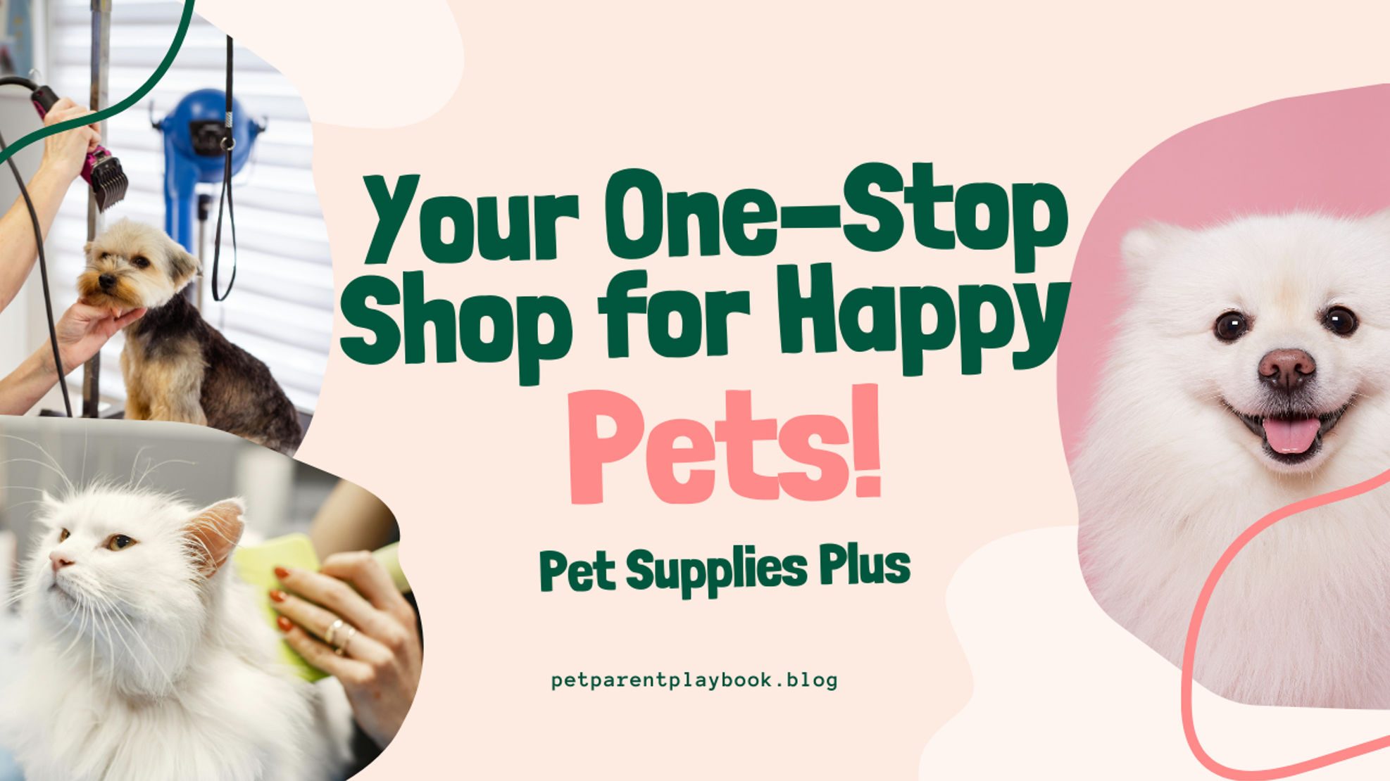 Pet Supplies Plus