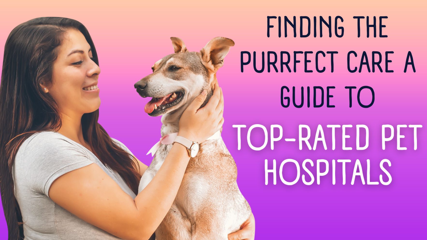 Finding the Best Fit: A Guide to Pet Hospitals Including Banfield, BluePearl & More (International Focus)