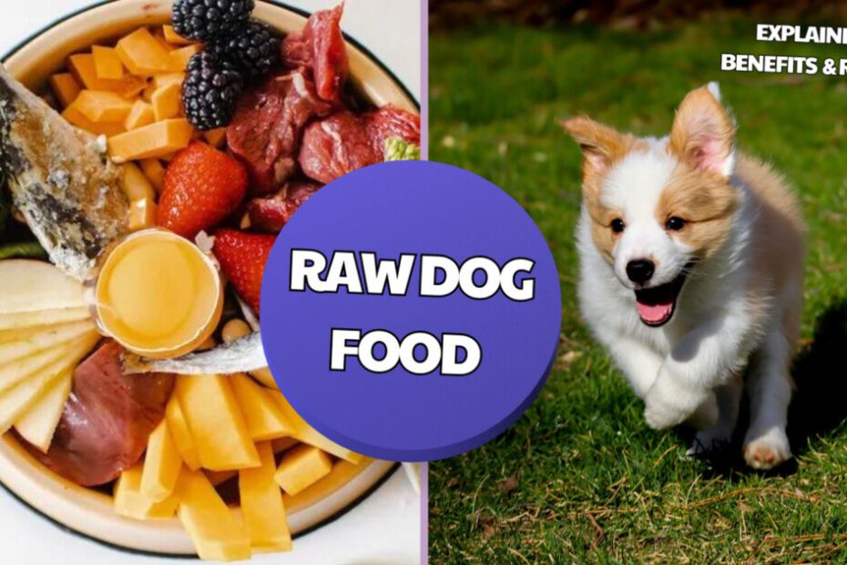 Raw Dog Food