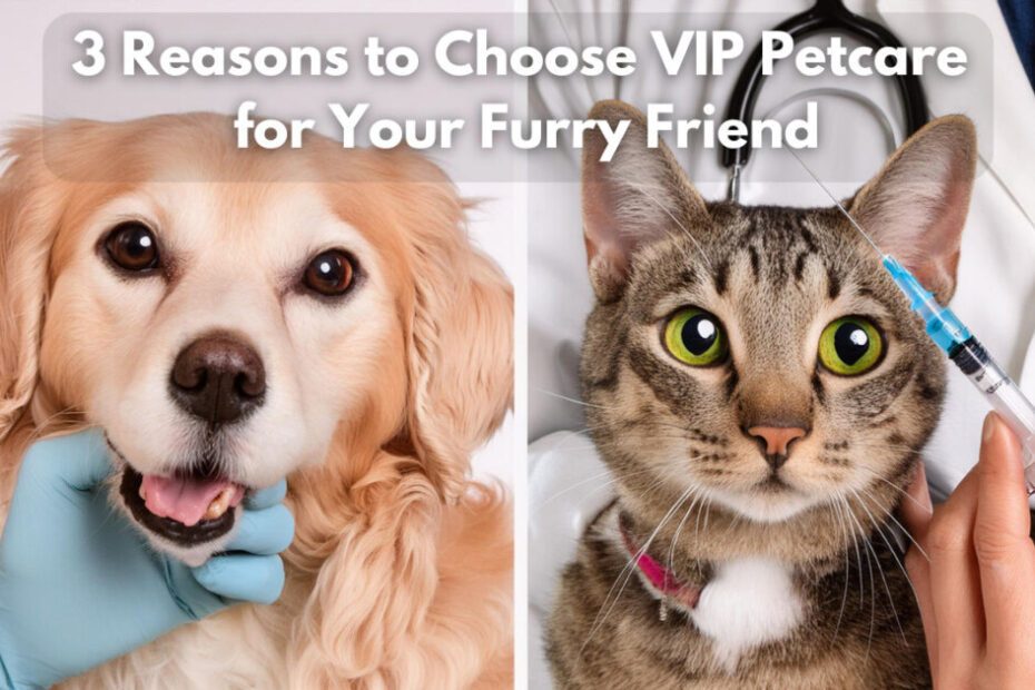 VIP Pet Care