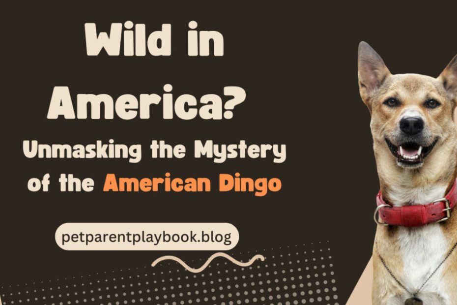 The American Dingo: A Comprehensive Guide to North America's Wild Dog