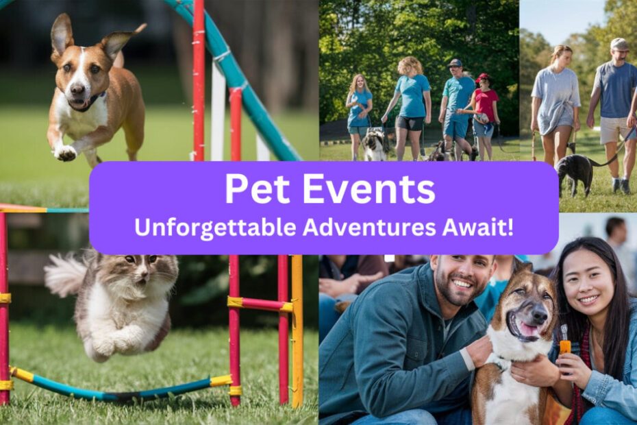 7 Must-Do Experiences Your Guide to Unforgettable Pet Events