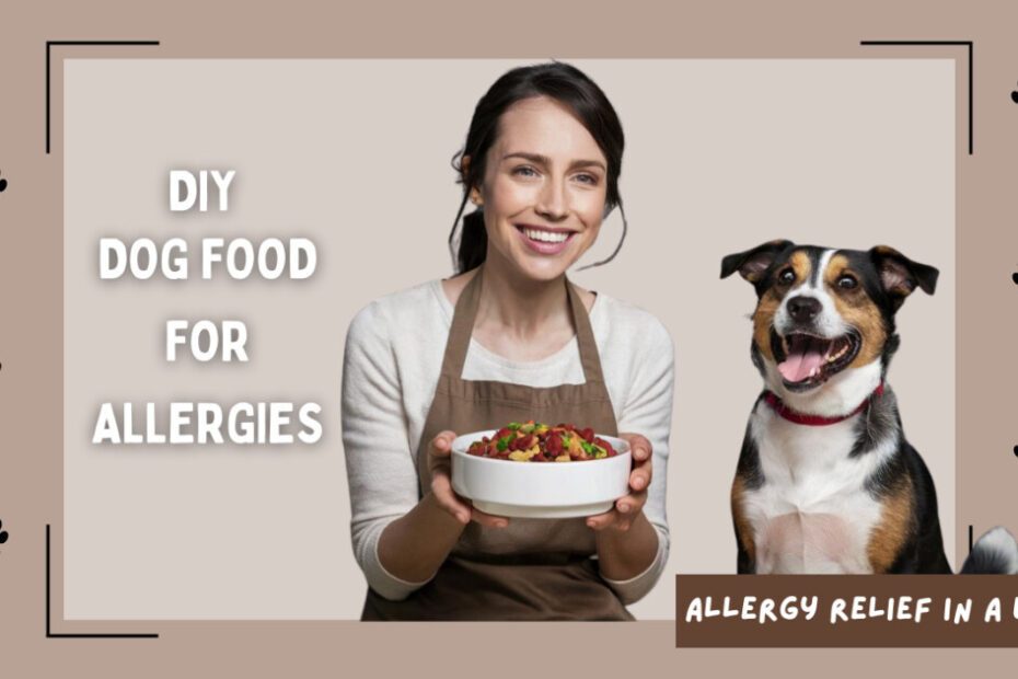 Dog Allergies Got You Down?| 5 Best Homemade Dog Food Recipes