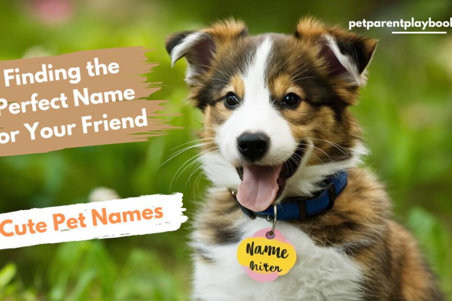 Finding the Perfect Name for Your Friend: A Guide to Cute Pet Names