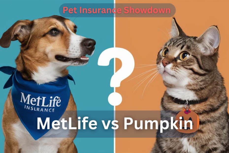 MetLife Pet Insurance vs. Pumpkin Pet Insurance