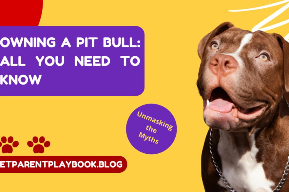 The Pitbull Dog: A Powerful and Misunderstood Companion