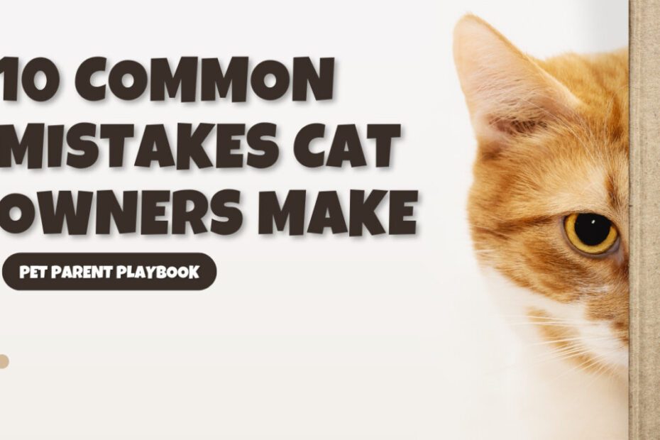 10 Common Mistakes Cat Owners Make Avoid These for a Happier Cat