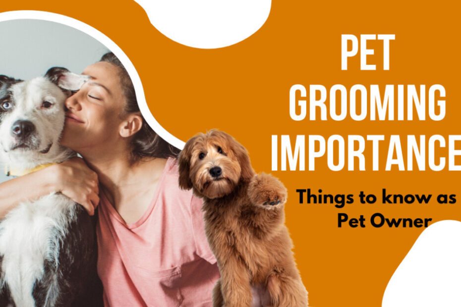 The Importance of Pet Grooming and Its Impact on Pet Owners' Health