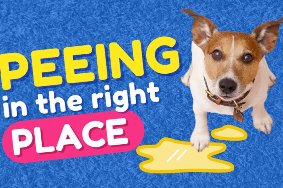 Potty Training Perfection Teaching Your Puppy to Pee in the Right Place