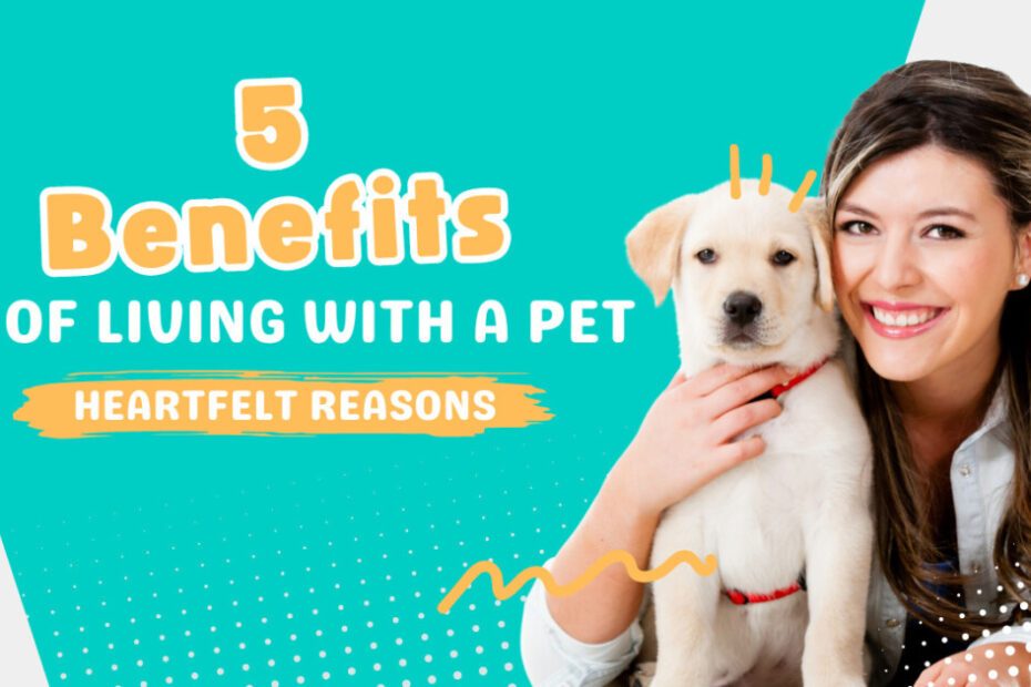 5 benefits of living with a pet