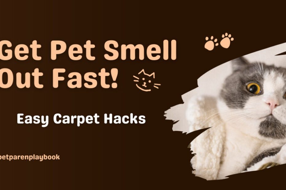 How to Get Pet Smell Out of Carpet Guide for Pet Lovers